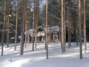 Holiday Home Kangastus a in Kemijärvi